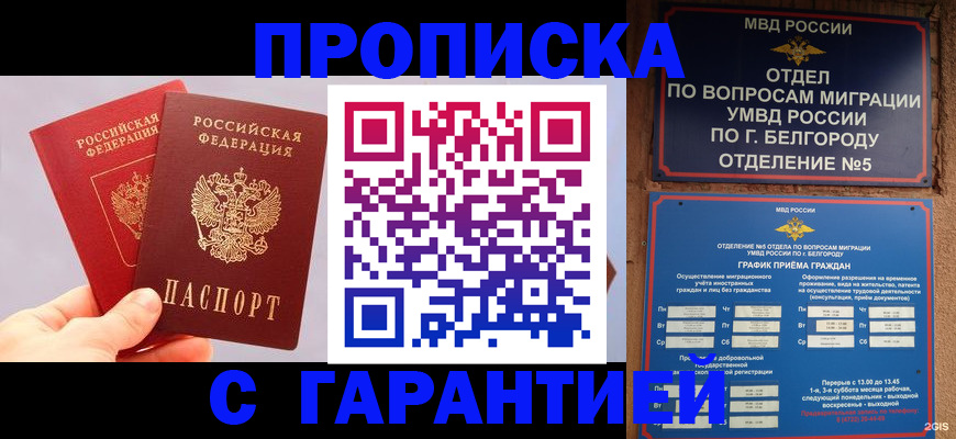 прописка 2025 в Петровске